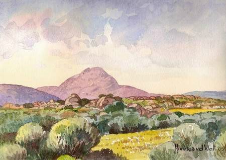 Water Colour  Size: (300x200)mm&nbsp; Unframed R2,000