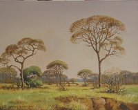 Oil on Stretched CanvasSize: (510x405x18)mmUnframedSOLD 2016 (by SouthAfricanArtist.com)